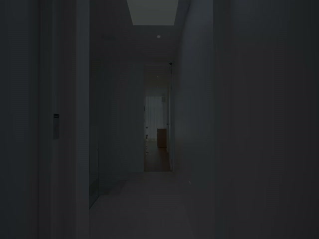 No Flash found